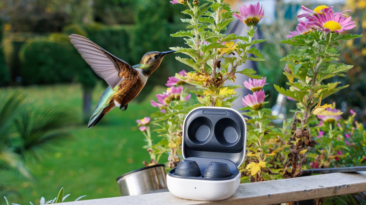 Samsung Galaxy Buds FE Recensione 2026: ANC a €57 Vale la Pena?